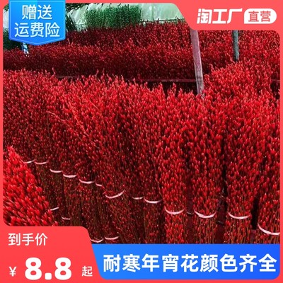 清新花卉diy数字油彩画北当前网购流行产品