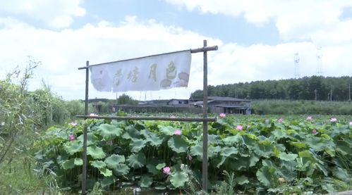 贵安新区湖潮乡平寨村 三花经济 绘就乡村振兴新蓝图